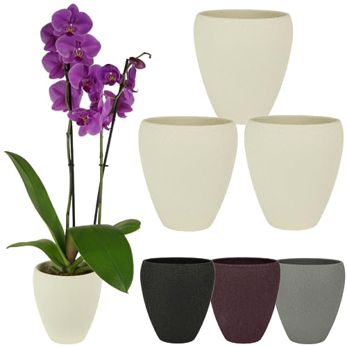 Spang Luna Orchideentopf Orchideen Übertopf Blumentopf Topf ○ Made in Germany (1er Set, Creme) von Spang