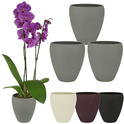 Spang Luna Orchideentopf Orchideen Übertopf Blumentopf Topf ○ Made in Germany (1er Set, Grau) von Spang