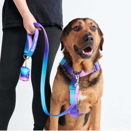 Spark Paws No Pull Hundegeschirr Grosse Hunde, Halterdesign mit Frontclip, Y Geschirr Hund, Robust und Strapazierfähig Harness für Große und Starke Rassen - 90s Retro, L von Spark Paws