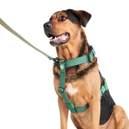 Spark Paws No Pull Hundegeschirr Grosse Hunde, Halterdesign mit Frontclip, Y Geschirr Hund, Robust und Strapazierfähig Harness für Große und Starke Rassen - Green, L von Spark Paws