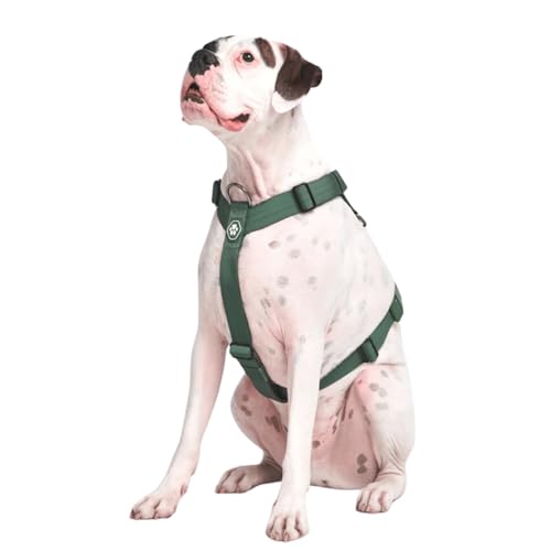 Spark Paws No Pull Hundegeschirr Grosse Hunde, Halterdesign mit Frontclip, Y Geschirr Hund, Robust und Strapazierfähig Harness für Große und Starke Rassen - Green, M von Spark Paws