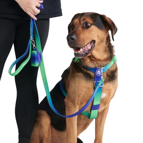 Spark Paws No Pull Hundegeschirr Grosse Hunde, Halterdesign mit Frontclip, Y Geschirr Hund, Robust und Strapazierfähig Harness für Große und Starke Rassen - Lime Wave, L von Spark Paws