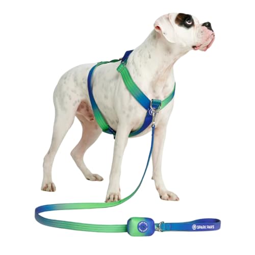 Spark Paws No Pull Hundegeschirr Grosse Hunde, Halterdesign mit Frontclip, Y Geschirr Hund, Robust und Strapazierfähig Harness für Große und Starke Rassen - Lime Wave, M von Spark Paws