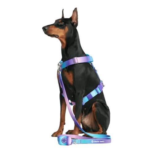 Spark Paws No Pull Hundegeschirr Grosse Hunde, Halterdesign mit Frontclip, Y Geschirr Hund, Robust und Strapazierfähig Harness für Große und Starke Rassen - 90s Retro, S von Spark Paws