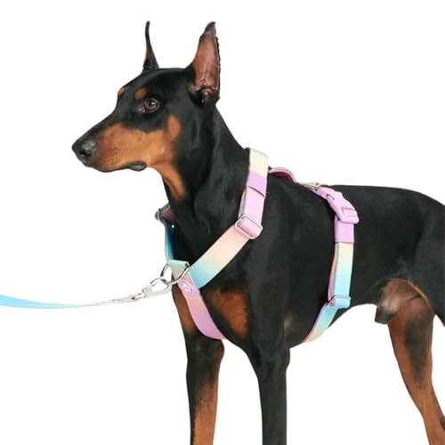 Spark Paws No Pull Hundegeschirr Grosse Hunde, Halterdesign mit Frontclip, Y Geschirr Hund, Robust und Strapazierfähig Harness für Große und Starke Rassen - Pastel Icing, S Spark Paws No Pull Hundegeschirr Grosse Hunde, Halterdesign mit Frontclip, Y Geschirr Hund, Robust und Strapazierfähig Harness für Große und Starke Rassen - Pastel Icing, S von Spark Paws