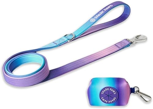 Spark Paws Premium Hundeleine & Kotbeutel Set – robuster Haken aus Legierung für stark ziehende Rassen – laufleine für Hunde, bequem, langlebig und sicher - 90's Retro von Spark Paws
