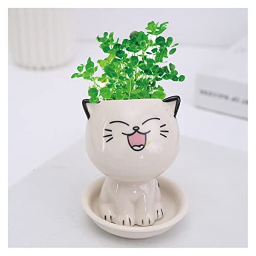 Sparrow Angel Keramik-Katzenauge-Blumentopf, Mini-Katzenform, Niedliche Topfpflanze, Desktop-Topf, Ausdruck, Katze, Blumentopf, Schreibtisch, Kleine Verzierung (Color : Weiß) von Sparrow Angel
