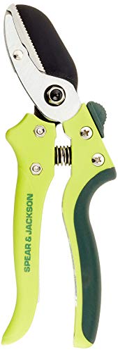 Spear & Jackson 7158KEW Kew Gardens Kollektion Razorsharp Amboss-Gartenschere von Spear & Jackson