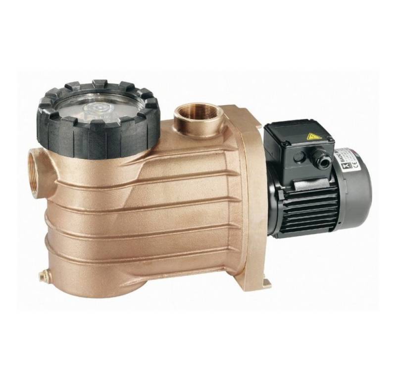Speck Pumpen Filterpumpe Speck BADU Bronze 11 400 V Schwimmbad Poolpumpe von Speck Pumpen