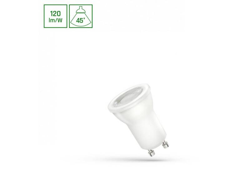 Spectrum LED-Leuchtmittel LED GU10 MR11 2W = 20W 240lm 230V Reflektor 45° Kaltweiß 6000K, GU10, Kaltweiß von Spectrum