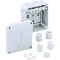 Spelsberg Abzweigkasten 690V M25 D=18mm IP54 ABOX 060-6qmm - 80640701 Spelsberg Abzweigkasten 690V M25 D=18mm IP54 ABOX 060-6qmm - 80640701 von Spelsberg