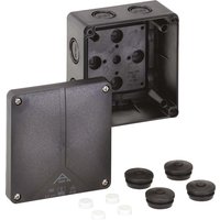 Spelsberg Kabelabzweigkasten leer Abox-i 060-L/sw - 49190601 von Spelsberg