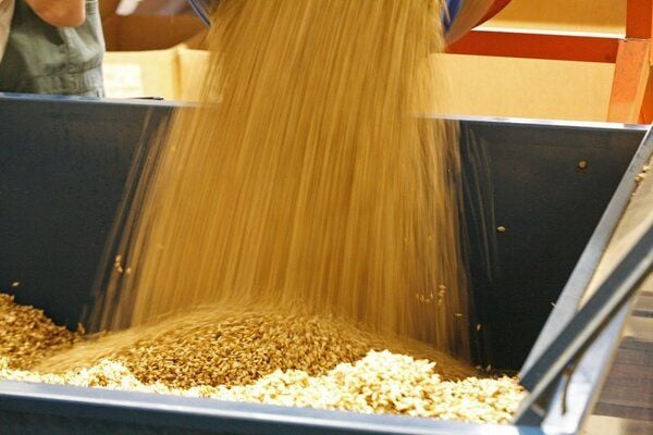 Speltex Nackenkissen mit Hirseschalen und Kautschuk von Speltex