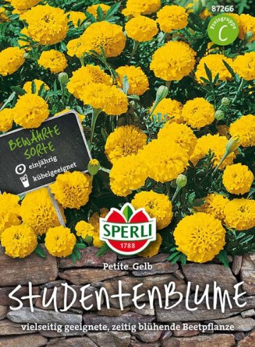 Studentenblume Petite Gelb von Sperli