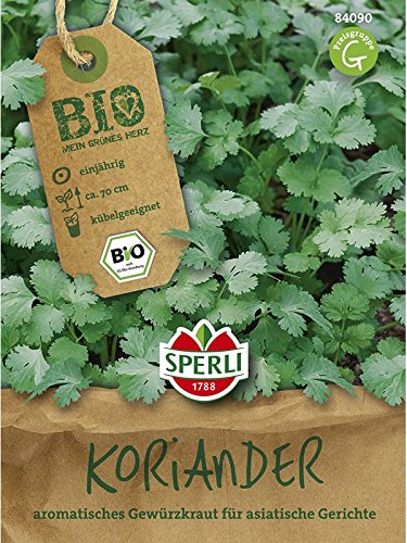 BIO Koriander Coriandrum sativum Saatgut von Sperli - Saatgut