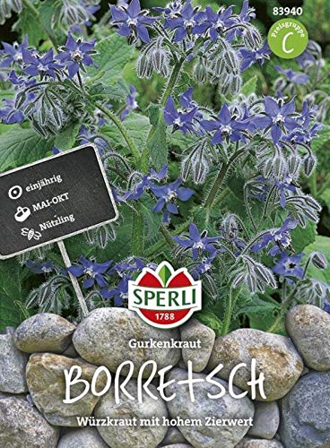 Borretsch Gurkenkraut Borretsch Gurkenkraut von Sperli