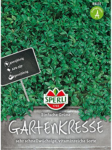 Gartenkresse Einfache Grüne von Sperli - Saatgut