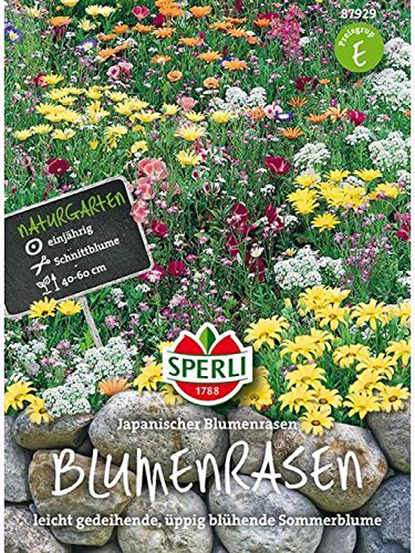 Japanischer Blumenrasen, Blumenmischung von Sperli - Saatgut