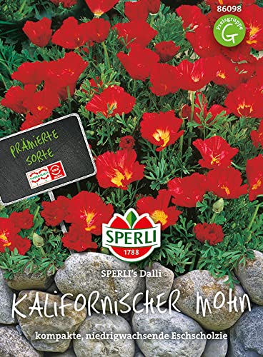 Sperli - Saatgut Kalifornischer Mohn Schlafmützchen Dalli, blühende niedrige Sommerblume für Rabatten Steingärten Einfassungen Gefäße Balkon von Sperli - Saatgut