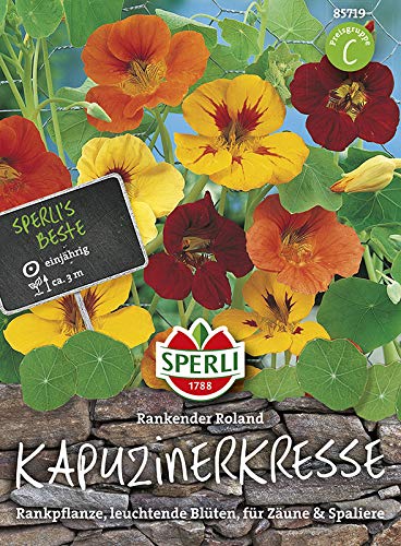 Kapuzinerkresse Rankender Roland, Rankpflanze mit leuchtenden Blüten für Zäune und Spaliere, wächst ca. 3 Meter hoch von Sperli - Saatgut