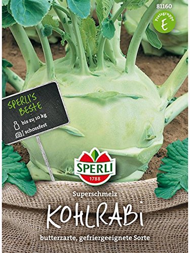 Kohlrabi Superschmelz von Sperli - Saatgut