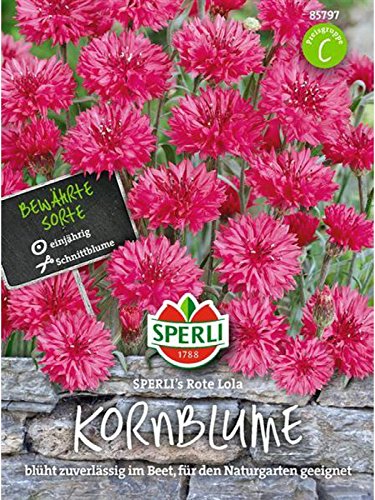 Kornblume SPERLING´s Rote Lola von Sperli - Saatgut