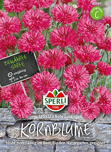 Kornblume SPERLING´s Rote Lola von Sperli - Saatgut