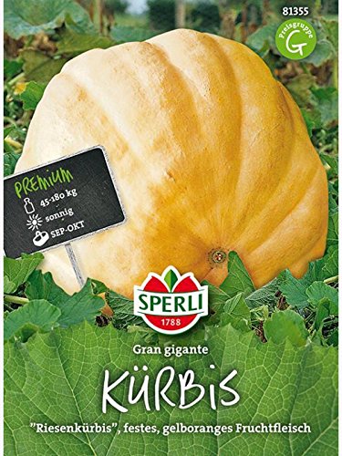 Kürbis Gran gigante von Sperli - Saatgut