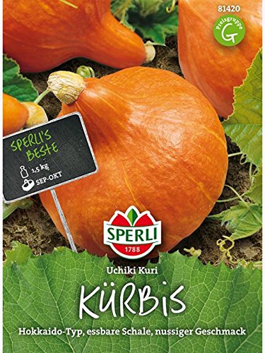 Kürbis Uchiki Kuri (Hokkaido-Typ) von Sperli - Saatgut