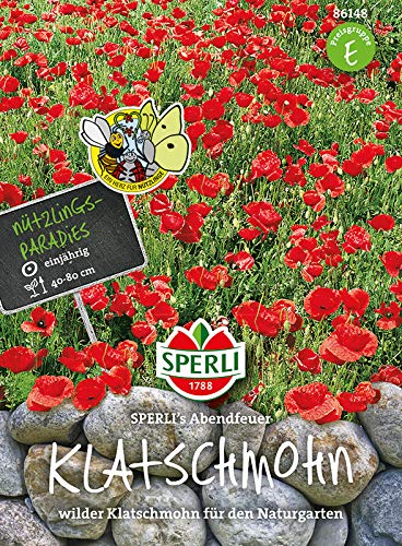 Wilder Klatschmohn Abendfeuer von Sperli