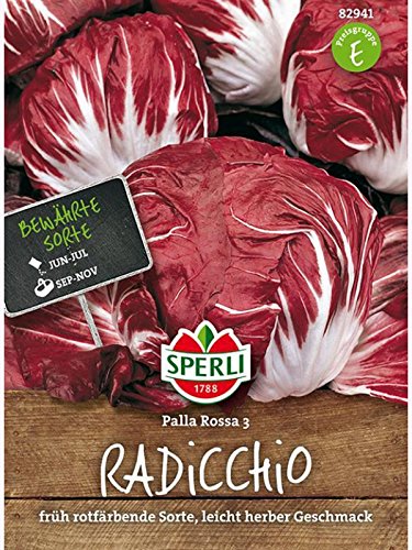 Radicchio Palla Rossa von Sperli - Saatgut