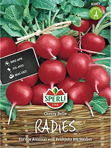 Radieschen Cherry Belle von Sperli - Saatgut