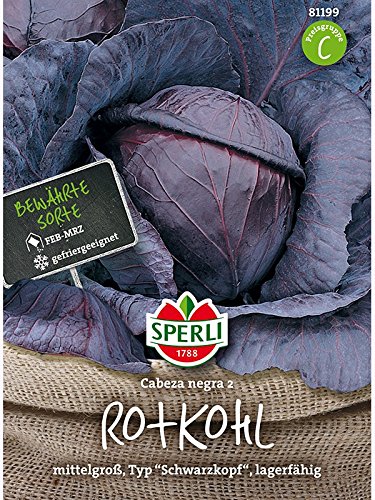 Rotkohl Roodkop (Schwarzkopf), Inhalt für ca. 100 Pflanzen, gefriergeeignet & lagerfähig von Sperli - Saatgut