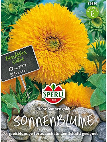 Sonnenblume Hohe Sonnengold von Sperli - Saatgut