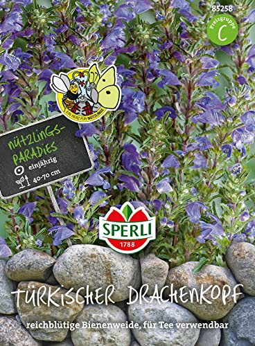 Sperli 85258 Blumensamen Türkischer Drachenkopf, grün, Portionssaatgut, Inhalt reicht für ca. 75 Pflanzen von Sperli - Saatgut