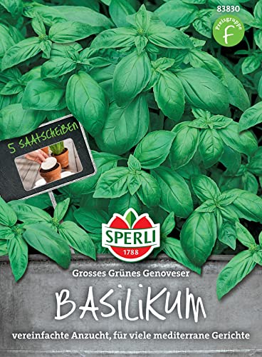 Sperli-Samen Basilikum Genoveser 5 Saatscheiben von Sperli - Saatgut