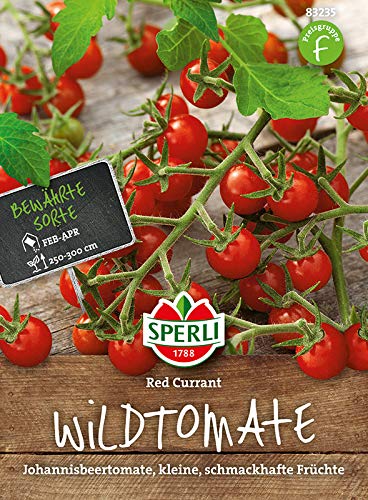 Tomate, Red Currant, Johannisbeertomate von Sperli - Saatgut