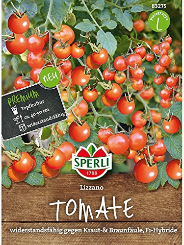 Tomate Lizzano von Sperli - Saatgut