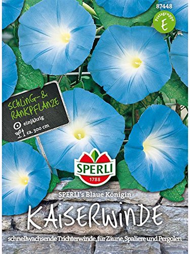 Prunk- oder Trichterwinde Blau von Sperli-Samen von Sperli