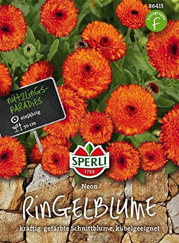 Sperli Ringelblumensamen Neon 86415 - Das perfekte Saatgut für kräftig gefärbte Schnittblumen. Einjährige Ringelblumen mit einer Höhe zwischen 70-80 cm. von Sperli