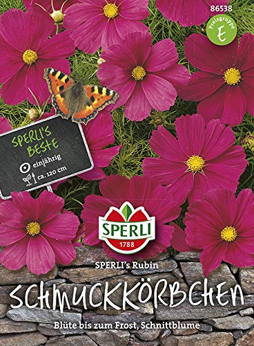 Schmuckkörbchen (Cosmea) SPERLINGs Rubin von Sperli-Samen von Sperli