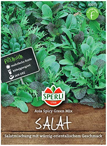 Sperli Premium Asia Salat | Asia Spicy Green Mix | 4 Sorten | Asia Salat Samen | winterhart ganzjährig von Sperli