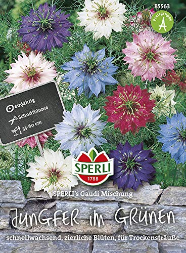 Sperli-Samen Jungfer im Grünen SPERLI's Gaudi Mischung von Sperli