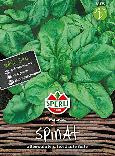 Sperli-Samen Spinat Matador (Maxipack 50g) von Sperli