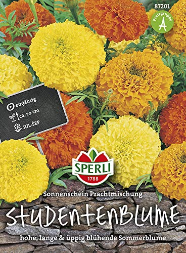 Sperli-Samen Studentenblumen Sonnenschein Prachtmischung von Sperli