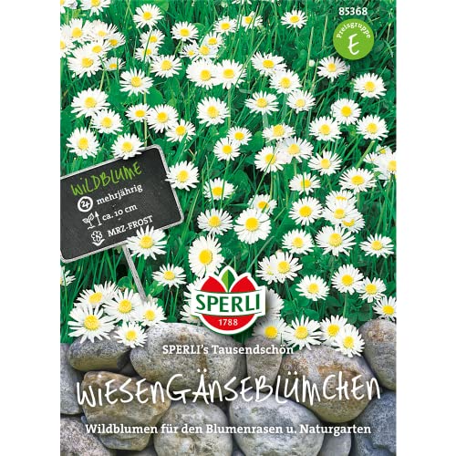 Sperli 85368 Wiesengänseblümchen (Gänseblümchensamen) Sperli 85368 Wiesengänseblümchen (Gänseblümchensamen) von Sperli