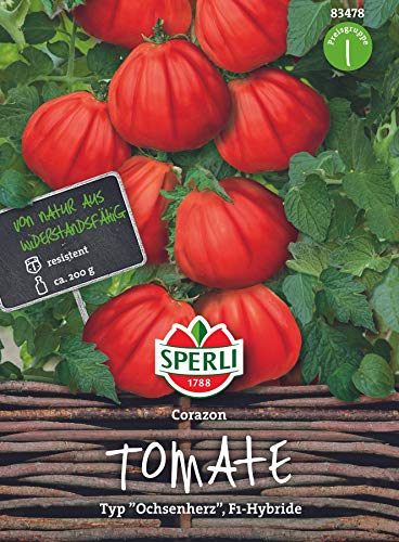 Tomate Corazon F1 Hybride von Sperli