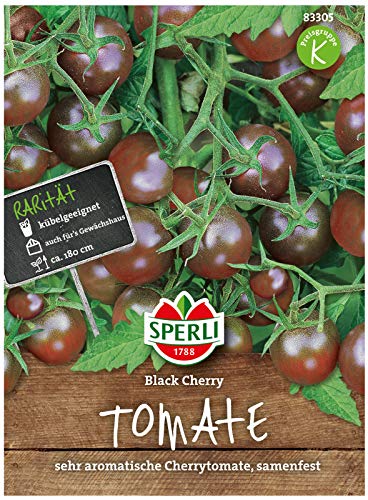Sperli Premium Tomaten Samen Black Cherry ; sehr aromatische Cherrytomate ; Kirschtomaten Saatgut von Sperli