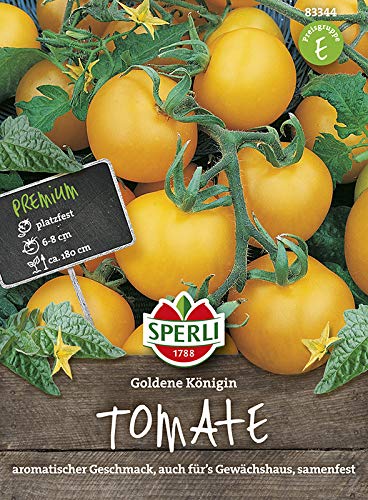Tomatensamen - Tomate Goldene Königin von Sperli-Samen von Sperli