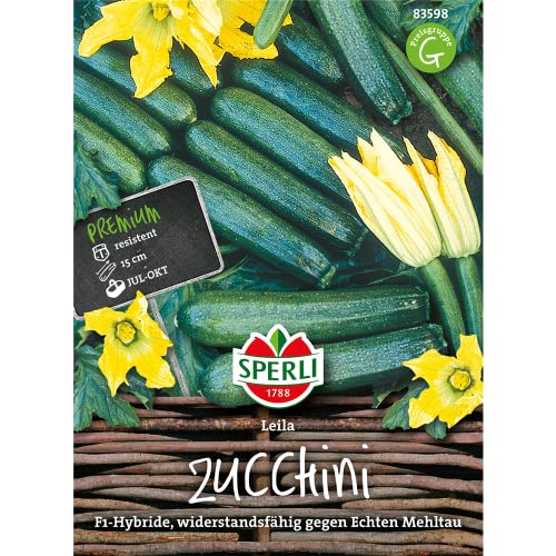 Zucchinisamen - Zucchini Leila F1 von Sperli-Samen von Sperli